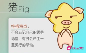 生肖猪幸运数字