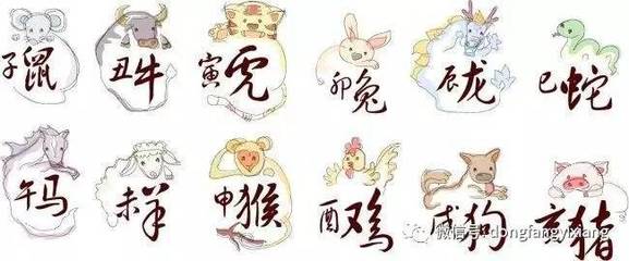十二生肖今天的运气