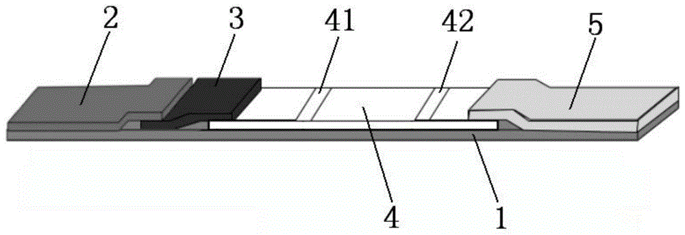 侧向流检测试纸