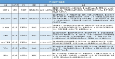 什么车系可以上新能源牌