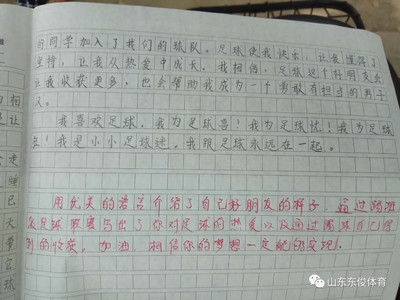 我为这件事点个赞300字作文怎么写