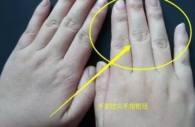 男人手指粗短是什么命