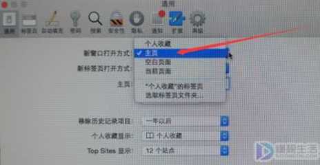 苹果手机safari怎么设置主页