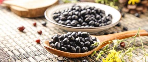 吃什么能提高怀孕几率