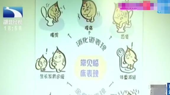 反胃肚子疼想吐是怎么回事