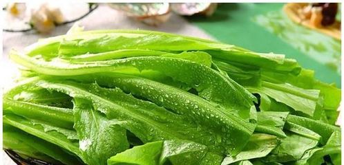 治咳嗽的菜