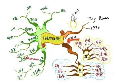 关于手的400字作文怎么写