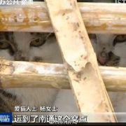 早产儿一般几个月会笑
