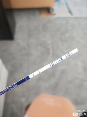 抽血检测怀孕挂什么科