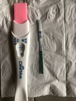 怀孕怎么算周数