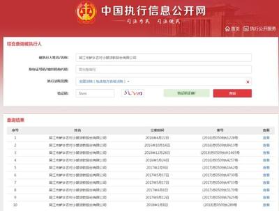 全国被执行人信息网