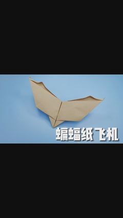 中国飞最远的纸飞机