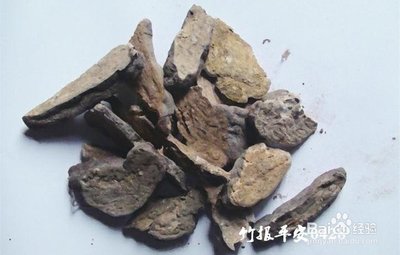 新鲜何首乌的功效与作用及食用方法