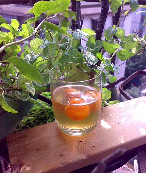 橘子泡酒的制作方法