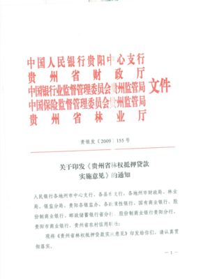 林权抵押贷款