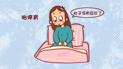 四个月会胎停吗