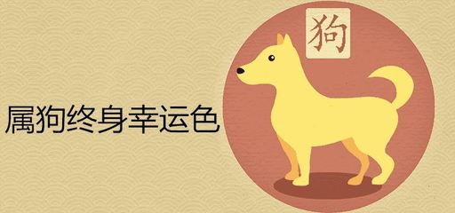 生肖狗的幸运色
