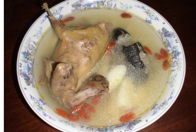 月子吃鸽子会回奶吗