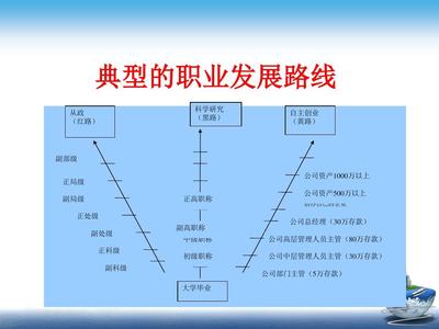 职业生涯线路怎么写