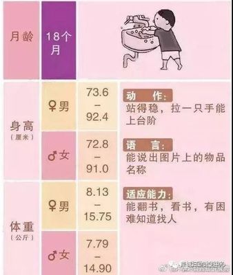 12个月宝宝发育指标