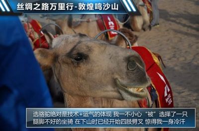 新疆至敦煌自驾游攻略