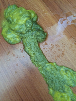 拉的粑粑是绿色的怎么回事