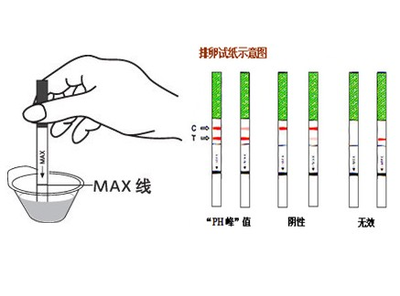 怎么用试纸测怀孕