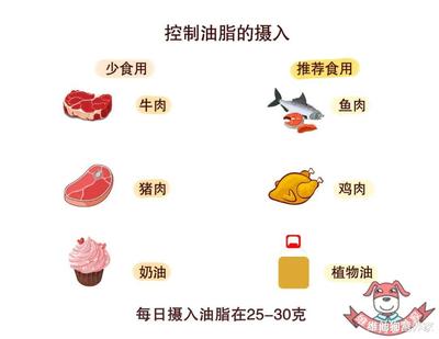 胆固醇高是怎么回事