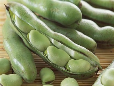 宝宝可以吃蚕豆吗