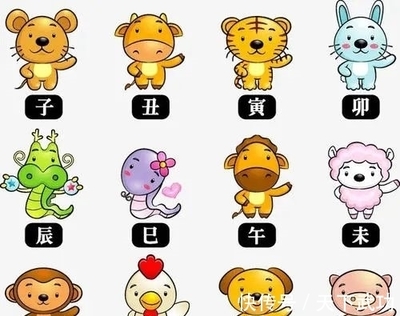 一周生肖运势