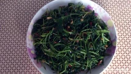 辣椒叶腌制的做法大全家常