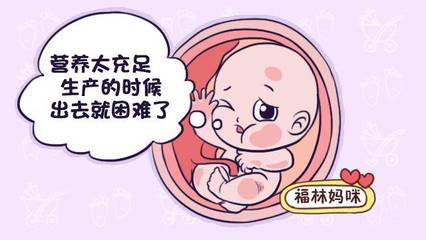 胎儿七个月