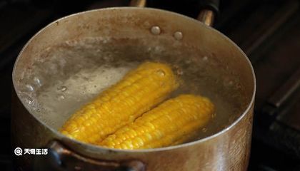 电饭煲煮玉米要多少水