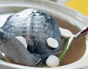 咳嗽能吃甲鱼吗