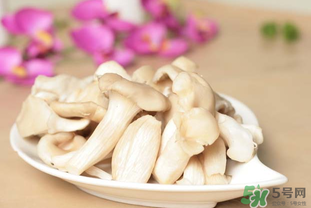 孕妇能吃平菇吗