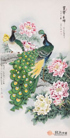 孔雀象征着什么寓意