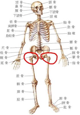 后肋骨疼是怎么回事