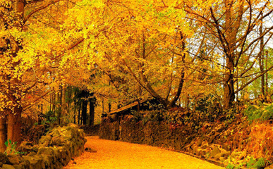 腾冲旅游介绍