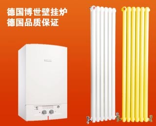 中国壁挂炉网