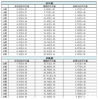 怀孕胎儿大小对照表