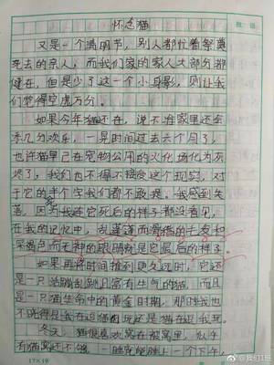 语文课是怎样上的作文怎么写