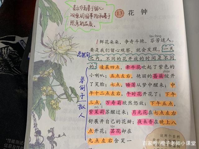 课文主要内容怎么写