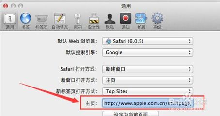 苹果手机safari怎么设置主页