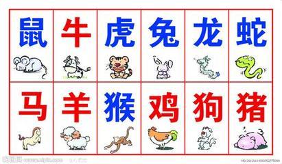2005年属什么生肖几岁