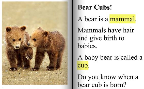 bear与 birth关系
