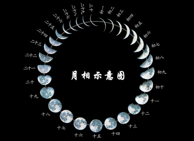 西历是农历还是阳历