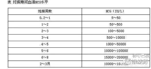 怀孕怎么算周数