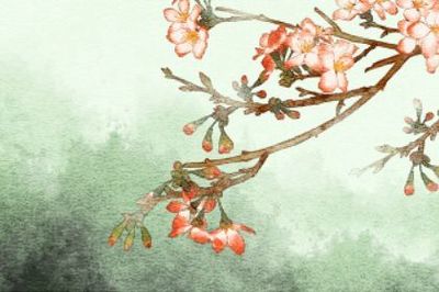 桂花五行属什么