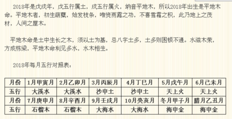 2018年五行属什么命