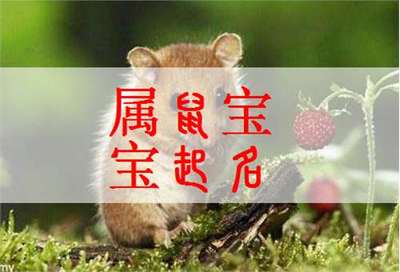 2020年属鼠宝宝取名